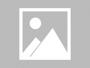 猪猪多福赚钱软件是真的吗？1000元能提现吗？